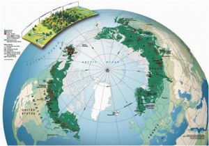 Boreal forest Canada Map Boreal forest Map Geography In 2019 forest Map Map