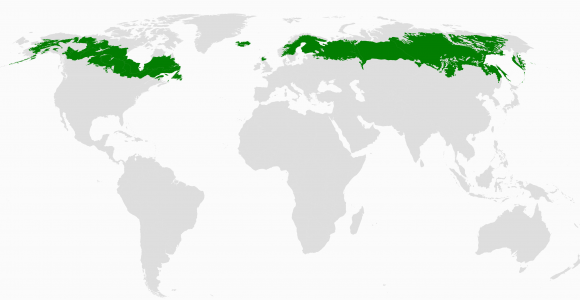 Boreal forest Canada Map Boreal forest Of Canada Wikipedia