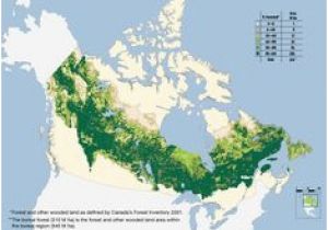Boreal forest Map Canada 15 Best Canadian Boreal forest Images In 2012 July 11