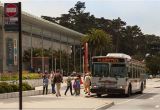 California Academy Of Sciences Map Getting Here California Academy Of Sciences