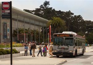 California Academy Of Sciences Map Getting Here California Academy Of Sciences