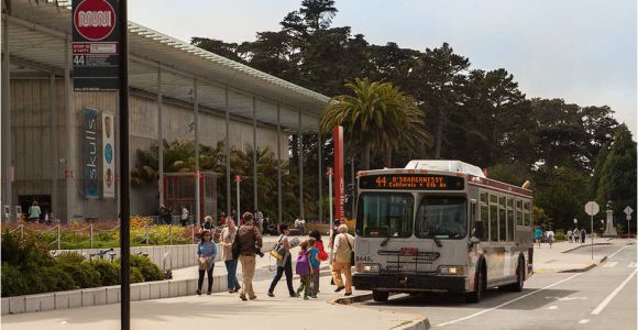 California Academy Of Sciences Map Getting Here California Academy Of Sciences