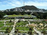 California Academy Of Sciences Map Golden Gate Park Discover What It Has to Offer