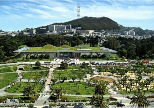 California Academy Of Sciences Map Golden Gate Park Discover What It Has to Offer