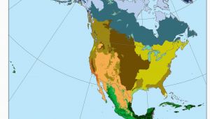 California Biome Map Biomes north America Ref Geo Regions Biomes America Map