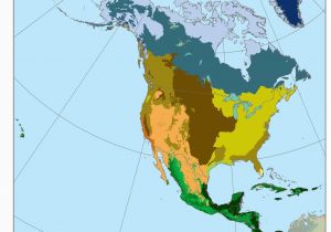 California Biome Map Biomes north America Ref Geo Regions Biomes America Map