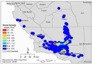 California Condor Map 7 Best Bird Migration Riddles Images Bird Migration Puzzle Riddles