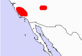 California Condor Range Map California Condor Gymnogyps Californianus north American Birds