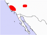 California Condor Range Map California Condor Gymnogyps Californianus north American Birds