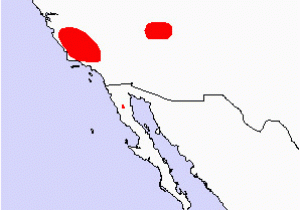 California Condor Range Map California Condor Gymnogyps Californianus north American Birds