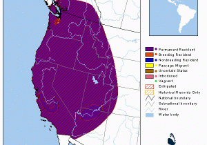 California Condor Range Map Comprehensive Report Species Gymnogyps Californianus