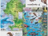 California Delta Map Fishing 74 Marvelous Models Of California Delta Fishing Maps Maps