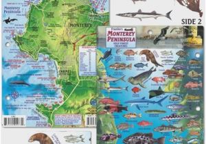 California Delta Map Fishing 74 Marvelous Models Of California Delta Fishing Maps Maps