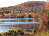 California Fall Color Map 43 Best Fall Foliage In Upstate New York Images Upstate New York