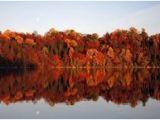 California Fall Color Map 43 Best Fall Foliage In Upstate New York Images Upstate New York