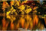 California Fall Color Map 49 Best Wisconsin S Fall Color Images Wisconsin Wisconsin Fall