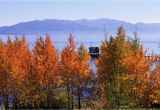 California Fall Color Map where to See Fall Color In the Lake Tahoe Region