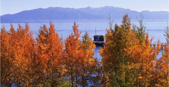 California Fall Color Map where to See Fall Color In the Lake Tahoe Region