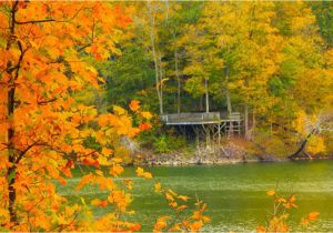 California Fall Foliage Map A State by State Guide to Fall Colors