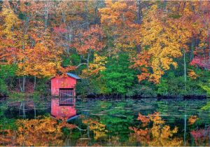 California Fall Foliage Map A State by State Guide to Fall Colors