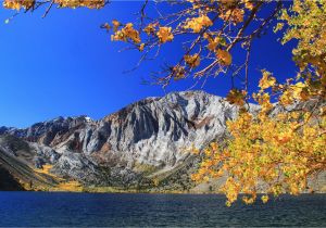 California Fall Foliage Map Fall Foliage Drives In northern California