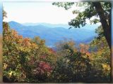 California Fall Foliage Map when East Tennessee S Fall Foliage Will Be at Its Finest