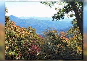 California Fall Foliage Map when East Tennessee S Fall Foliage Will Be at Its Finest