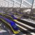 California High Speed Train Map Map Shows High Speed Rail S Sluggish Progress Curbed Sf