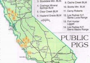 California Hunting Map Map California Map Blm Land In California California Map Map