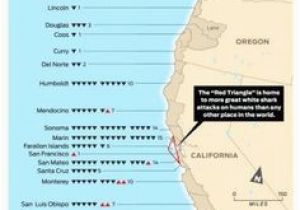 California Shark attack Map 79 Best Shark attacks Images Shark attacks Sharks Great White Shark
