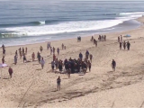 California Shark attack Map Cape Cod Shark attack Man Dies after Shark attack at A Beach In