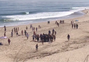 California Shark attack Map Cape Cod Shark attack Man Dies after Shark attack at A Beach In