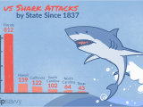 California Shark attack Map Shark attacks In the United States by State