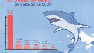 California Shark attack Map Shark attacks In the United States by State