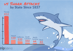 California Shark attack Map Shark attacks In the United States by State