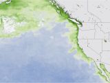 California Shark attack Map toxic Algae Bloom is Killing Animals On the Pacific Coast Business