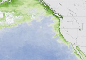 California Shark attack Map toxic Algae Bloom is Killing Animals On the Pacific Coast Business