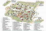 California State University Campus Map Campus Maps Directions Incoming Students Campus Map