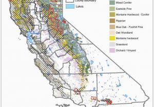 California Tsunami Map Uc In California Map Massivegroove Com