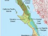 California Vegetation Map 107 Best Baja California Flora Images In 2019 Baja California