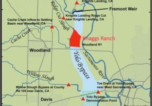 California Water Project Map the Nigiri Concept Salmon Habitat On Rice Fields California Trout