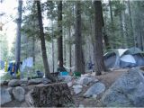 Campsites In California Map Lodgepole Campground Reviews Sequoia and Kings Canyon National
