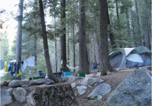 Campsites In California Map Lodgepole Campground Reviews Sequoia and Kings Canyon National