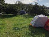 Campsites In Ireland Map Rainbow Hostel Updated 2019 Reviews Price Comparison Dingle