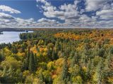 Canada Fall Foliage Map Canada Fall Foliage Reports