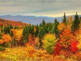 Canada Fall Foliage Map How to See New England Fall Foliage at Its Peak