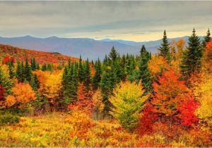 Canada Fall Foliage Map How to See New England Fall Foliage at Its Peak