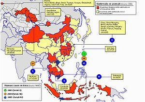 Canada Flu Map Global Spread Of H5n1 Wikipedia