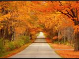 Canada Foliage Map Fall Colors Science Spray Ideas Wisconsin Fall Colors