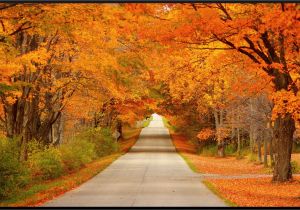 Canada Foliage Map Fall Colors Science Spray Ideas Wisconsin Fall Colors